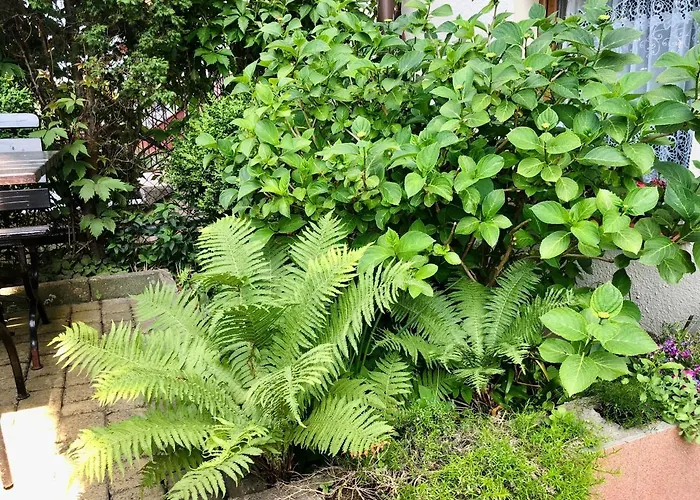 U Miecia Na Jachcie *