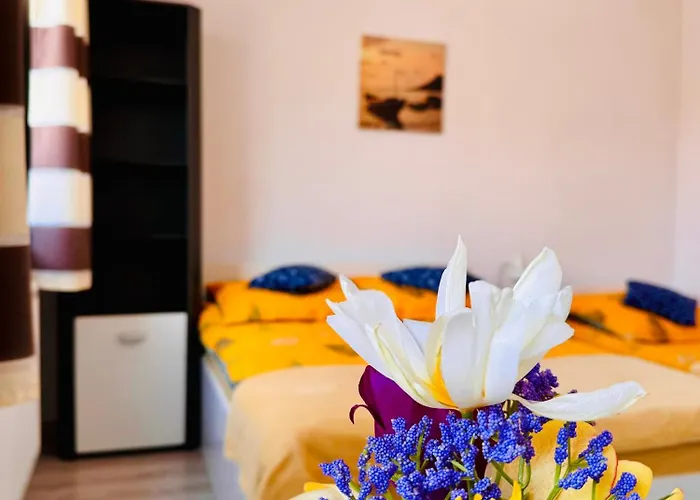 Homestay szállás U Miecia Na Jachcie